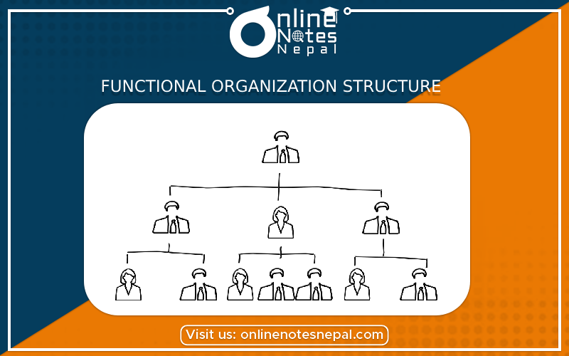 Functional Organization Structure Photo